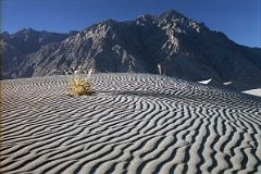 19 Silvery Grey Sand Dunes Near Skardu